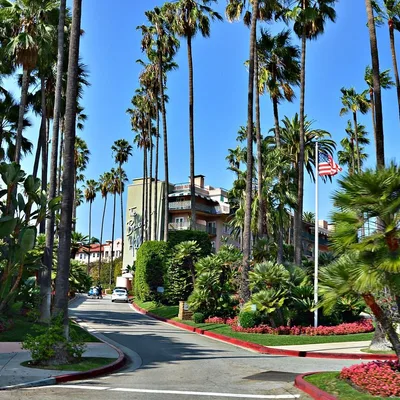 Los Angeles, CA