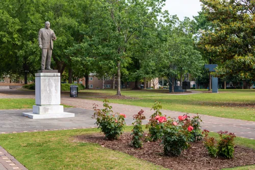 Rose bushes near the Martin Luther King statue