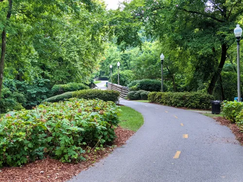 Paved trail through lush greenery and shrubs