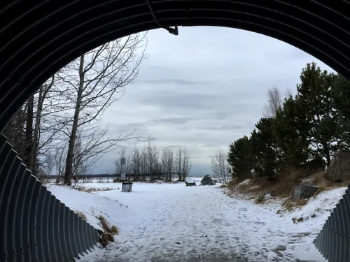 Winter snow covers the Tony Knowles Coastal Trail