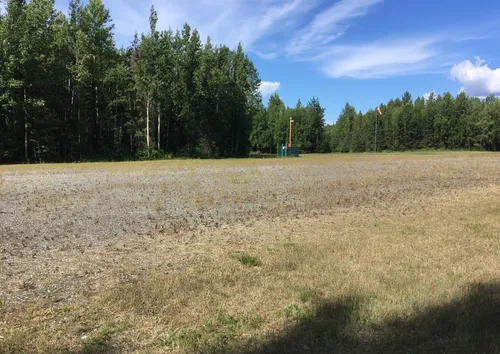 The Campbell Airstrip is bordered by evergreens under a blue sky