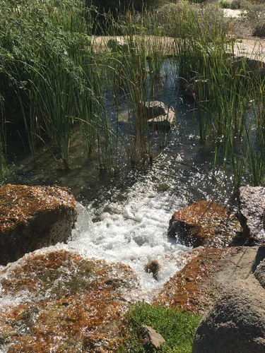 Water cascading over rocks near the lake's edge