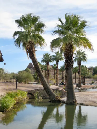 Palm trees lean gracefully over one of the park's lakes