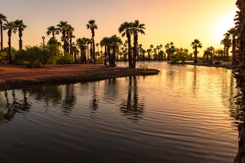 The sunset casts long shadows in the park