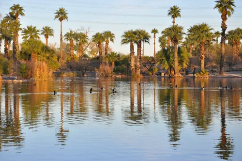One of several areas in the park that can truly be considered a desert oasis