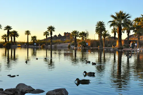 Ducks float across the water on this serene evening