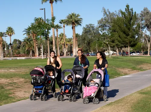 A group of moms enjoying a sunny day stroll through the park