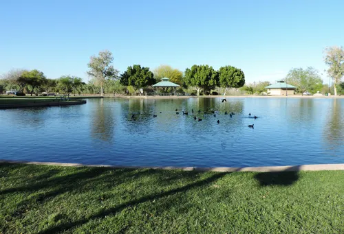 Serene lake view with ducks gliding across the waters