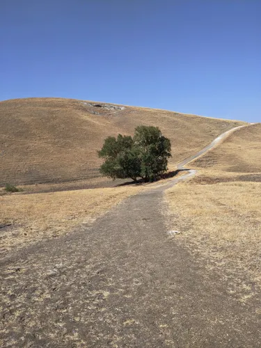 Lake View Trail stretches through dry hills on a clear day