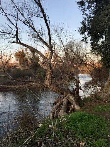 A beautiful view of Kern River flowing through the park
