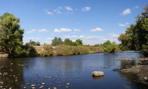 Shoreline along a gentle bend in the Kern River