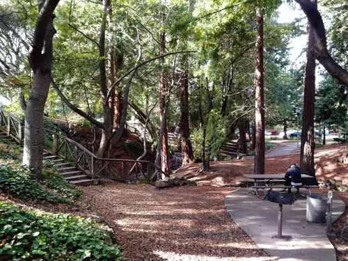 Tranquil shaded walking paths in this cozy section of the park