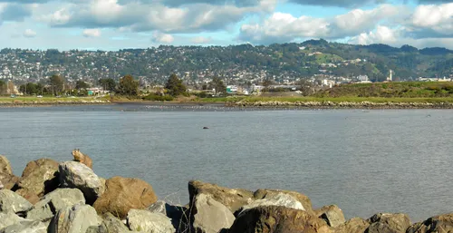 Eastward view from the park's rocky shoreline toward Berkeley's hillside