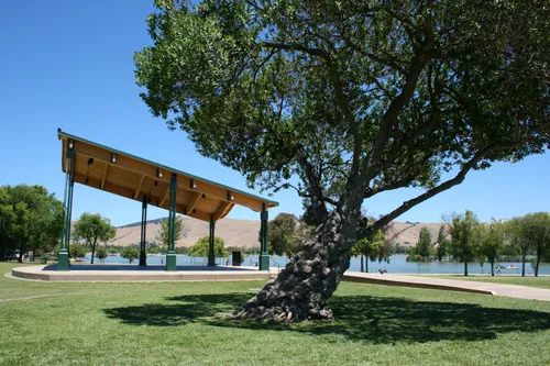 A massive tree provides shade
