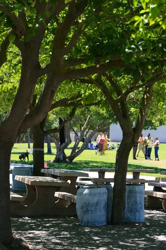 Shady picnic area with tables under mature trees