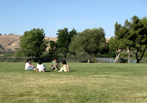 Group of children on an open grassy area of the park