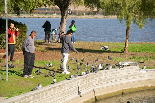 Visitors feeding birds along the reinforced shoreline near the visitor center