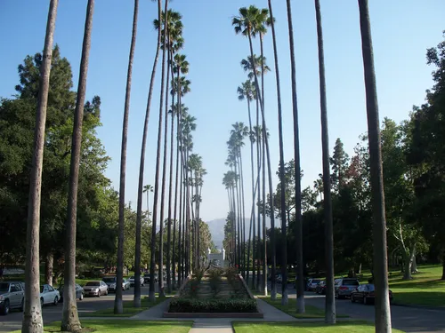 Palm-lined pathway leading south toward the park entrance