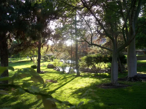 Tranquil setting of the Japanese garden with gentle stream