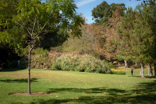 The park features many open green lawn areas with natural vegetation