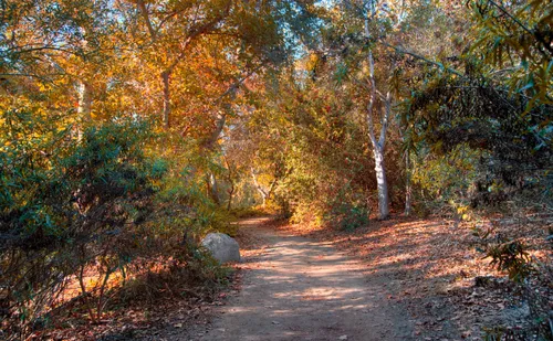 Autumn foliage colors the trees along one of the walking trails