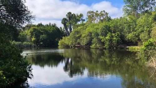 The Nature Center's North Lake reflects the surrounding trees under a bright sky