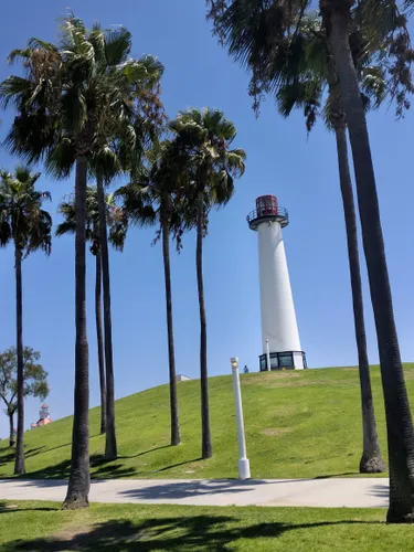 White Lions Lighthouse framed by palm trees on grassy hill
