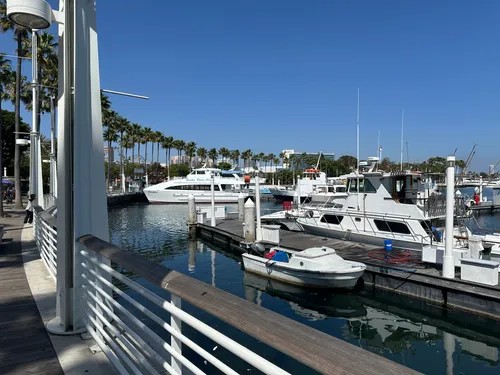 Modern marina walkway with boats docked alongside