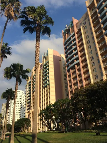 Tall palm trees grow along the edge of Victory Park