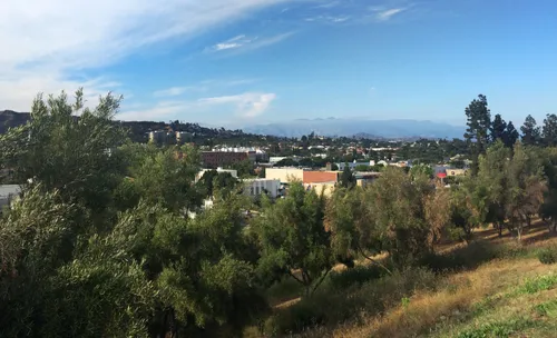 Looking northeast from Barnsdall Art Park's elevated position