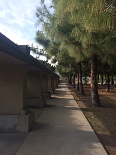 Tree-lined pathway leads from the parking area to Hollyhock House