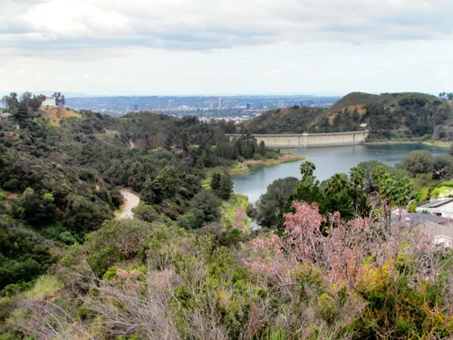 Hollywood Reservoir can be seen in the distance below the park