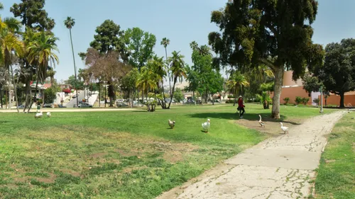 Grassy field with walking path towards Plaza de La Raza