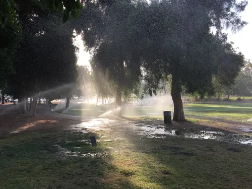 Morning sunlight filters through sprinklers creating a misty effect