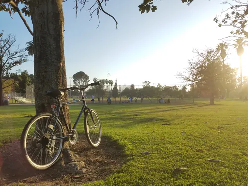 Bicycle parked near a tree with ball diamonds visible in background