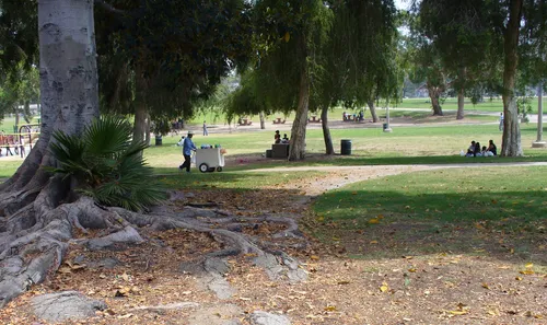 Mature trees provide shade