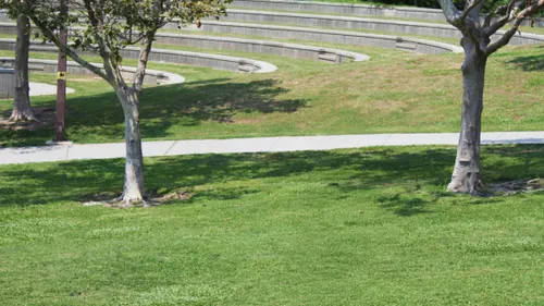 Green lawns with the amphitheater in the background