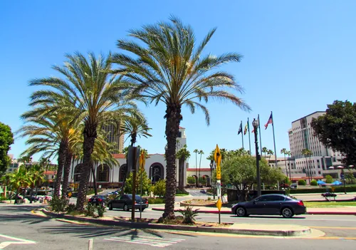 Palm trees line the street, with Union Station visible in the background