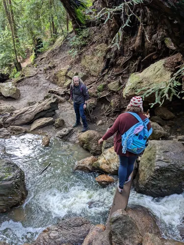 Hikers crossing Horseshoe Creek while navigating York Trail