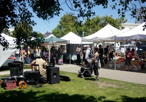 Bustling farmers market with white canopy tents on the grassy areas