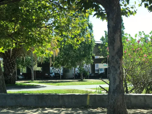 View of the park's south section