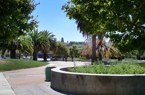 Pathways surrounded by palm trees and greenery
