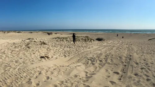 Wide expanses of beach stretch toward the horizon