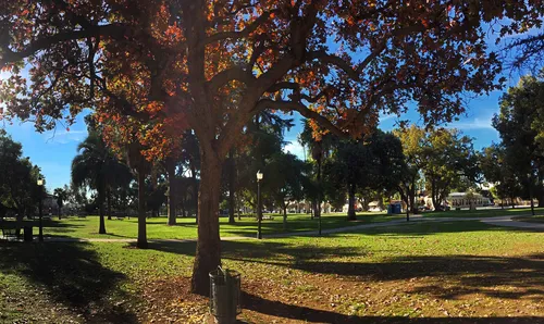 Tall shade trees dot the lawns around the walking paths