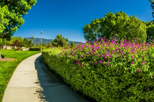 A curved walkway runs alongside colorful flowering hedges