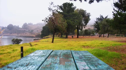 A picnic table overlooks Point Molate's grassy landscape