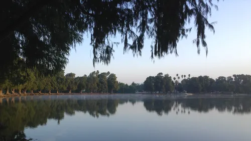 Tranquil morning reflections on Lake Evans surrounded by drooping trees