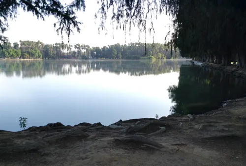 Looking northeast across the lake in evening light