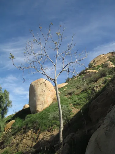 Large rocks perch on the hillside under clear blue sky