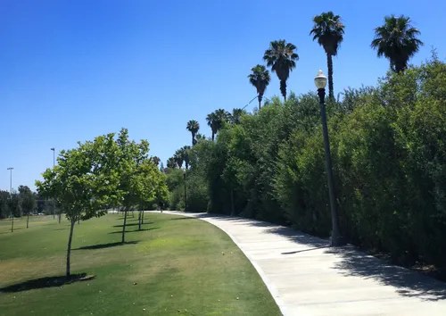 Concrete walkway lined with trees